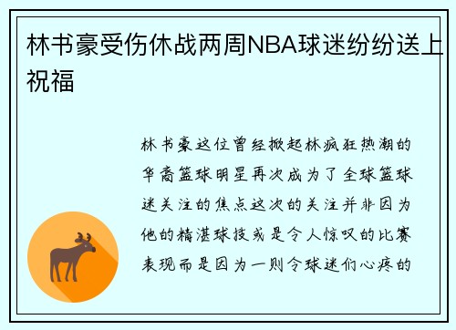 林书豪受伤休战两周NBA球迷纷纷送上祝福